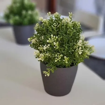 Apartamento Gemuetliche Fachkraefte-wohnung *