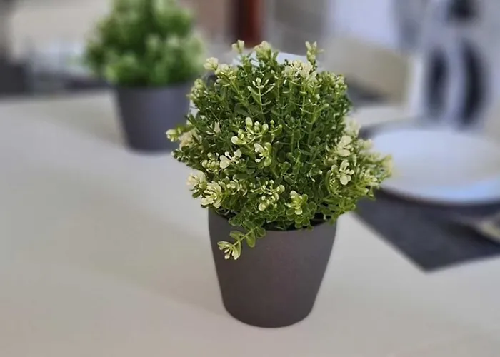 Appartement Gemuetliche Fachkraefte-wohnung *